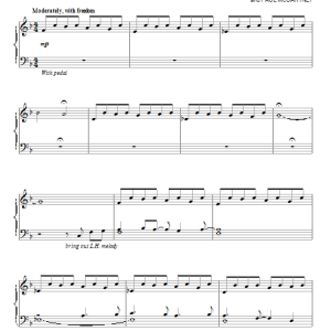 David Lanz Mother Nature's Son Musik Noten - Piano Solo - 87890-0