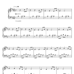 Debbie Wiseman The Quiet Room Musik Noten - Piano Solo - 106663-0