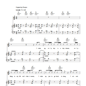 Dizzee Rascal featuring Calvin Harris & Chrome Bonkers Musik Noten - Piano, Vocal & Guitar Chords - 103247-0