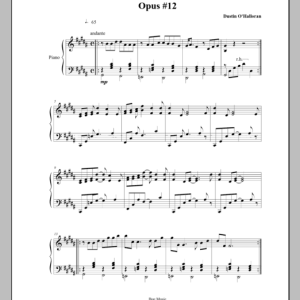 Dustin O'Halloran Opus 12 Musik Noten - Piano Solo - 44135-0