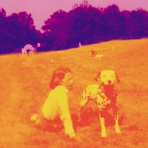 Eels Losing Streak Musik Noten - Piano, Vocal & Guitar Chords - 62833-thumbnail
