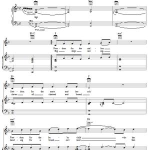 Elvis Costello & Allen Toussaint Freedom For The Stallion Musik Noten - Piano, Vocal & Guitar Chords - 57214-0