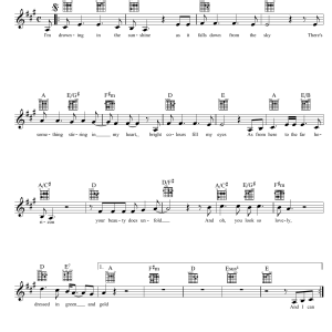 Eric Bogle Shelter Musik Noten - Lead Sheet / Fake Book - 39154-0