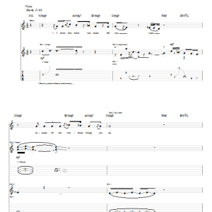 Eric Johnson Sunnaround You Musik Noten - Guitar Tab - 71162-0