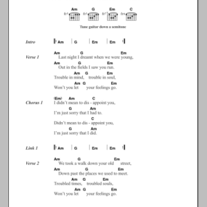 Erland and The Carnival Trouble In Mind Musik Noten - Guitar Chords/Lyrics - 108501-0