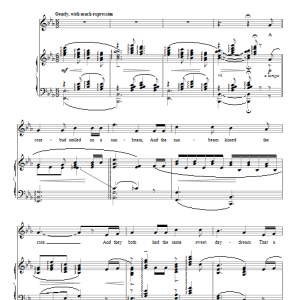 Ernest R. Ball The Night Wind (The Sunbeam And The Rose) Musik Noten - Piano & Vocal - 89059-0