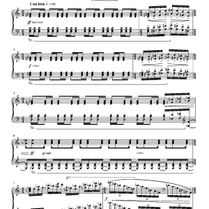 Esa-Pekka Salonen Dichotomie I - Méchanisme Musik Noten - Piano Solo - 37511-0