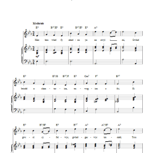 Evan James Hen Wlad Fy Nhadau (Unofficial Welsh National Anthem) Musik Noten - Piano, Vocal & Guitar Chords - 42493-0