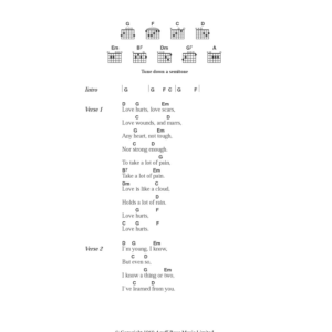 Everly Brothers Love Hurts Musik Noten - Guitar Chords/Lyrics - 105346-0