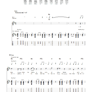 Fall Out Boy 27 Musik Noten - Guitar Tab - 70482-0