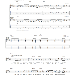 Fall Out Boy The (Shipped) Gold Standard Musik Noten - Guitar Tab - 70485-0