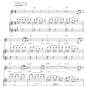 Faryl Smith Amazing Grace Musik Noten - Piano & Vocal - 46448-0