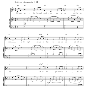 Faryl Smith Calon Lan Musik Noten - Piano & Vocal - 46451-0