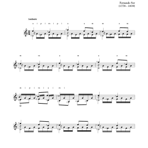 Fernando Sor Study Op. 35, No. 13 Musik Noten - Solo Guitar - 163506-0