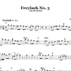 Folk Tune Freylach No. 3 (Jewish Dance) Musik Noten - Lead Sheet / Fake Book - 66535-0