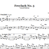 Folk Tune Freylach No. 5 (Jewish Dance) Musik Noten - Lead Sheet / Fake Book - 66537-0