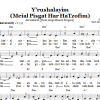 Folk Tune Y'rushalayim (Meial Pisgat Har HaTzofim) (Jerusalem; From Atop Mount Scopus) Musik Noten - Lead Sheet / Fake Book - 66326-0