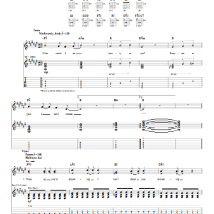 Foo Fighters Lonely As You Musik Noten - Guitar Tab - 23460-0