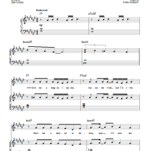 Frank Wildhorn One Knight Musik Noten - Piano, Vocal & Guitar Chords - 88213-0