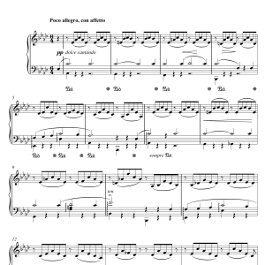 Franz Liszt Liebestraume: Notturno No.3 In A Flat: O Lieb, So Lang Du Lieben... (as performed by Sacha Puttnam) Musik Noten - Piano Solo - 119405-0