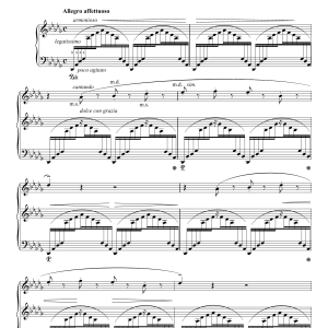 Franz Liszt Un Sospiro, For Piano In D Flat Major (grande Études De Concert No. 3) Musik Noten - Piano Solo - 119506-0