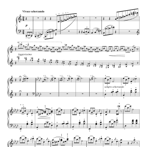 Franz Liszt Valse-Impromptu Musik Noten - Piano Solo - 119503-0