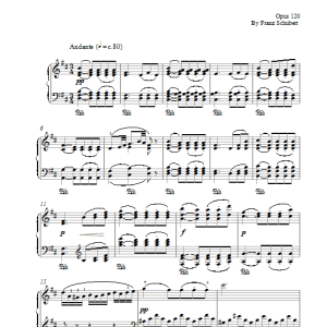 Franz Schubert Andante From Sonata In A Musik Noten - Piano Solo - 17098-0