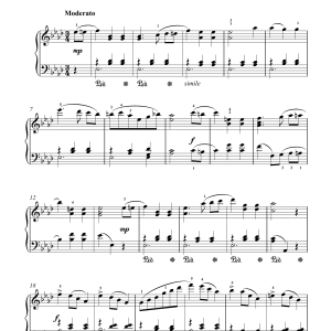 Franz Schubert Country Dance Musik Noten - Piano Solo - 17238-0