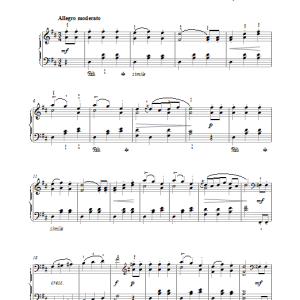 Franz Schubert Landler Musik Noten - Piano Solo - 17256-0