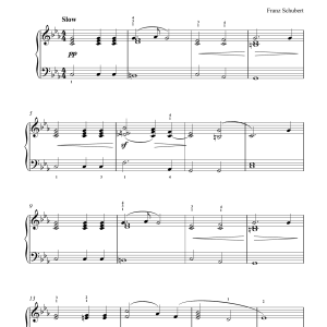 Franz Schubert Wanderer Fantasia Musik Noten - Piano Solo - 46798-0