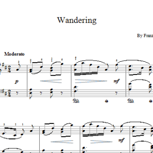 Franz Schubert Wandering Musik Noten - Piano Solo - 17240-0