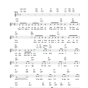Freddie Martin In The Dark Musik Noten - Lead Sheet / Fake Book - 25404-0