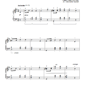Frederic Chopin Prelude Op. 28, No. 7 Musik Noten - Piano Solo - 46185-0