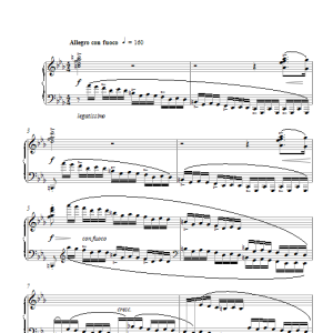 Frédéric Chopin Revolutionary Study Op.10 No.12 Musik Noten - Piano Solo - 111611-0