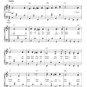 Gary Meisner There Is A Tavern In The Town Musik Noten - Accordion - 98474-0