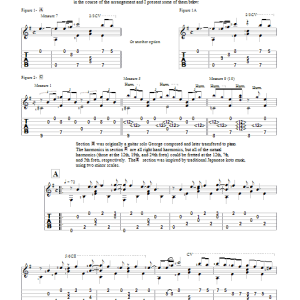 George Winston Moon Musik Noten - Solo Guitar - 82643-0