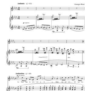 Georges Bizet La Fleur Que Tu M'avais Jetee (The Flower Song) (from Carmen) Musik Noten - Piano & Vocal - 15761-0
