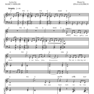 Goldrich & Heisler Make Your Own Party Musik Noten - Piano & Vocal - 78304-0