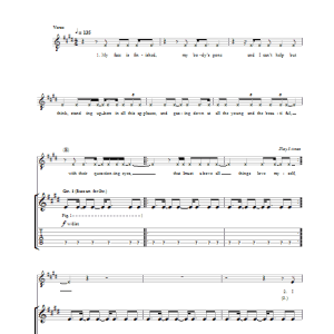 Grinderman No Pussy Blues Musik Noten - Guitar Tab - 38758-0