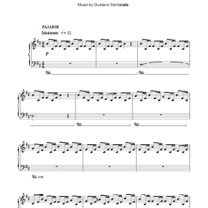 Gustavo Santaolalla Pajaros Musik Noten - Piano Solo - 103877-0