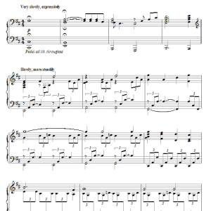 Hans Zimmer Election By Adoration Musik Noten - Piano Solo - 71633-0