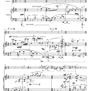 Harrison Birtwistle This Silence before Light (for soprano and piano) Musik Noten - Piano & Vocal - 46120-0