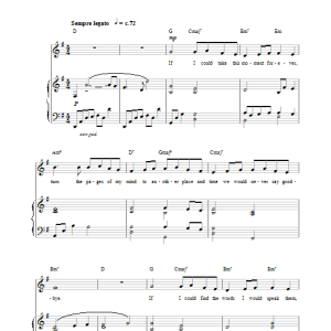 Hayley Westenra Never Say Goodbye Musik Noten - Piano, Vocal & Guitar Chords - 27629-0