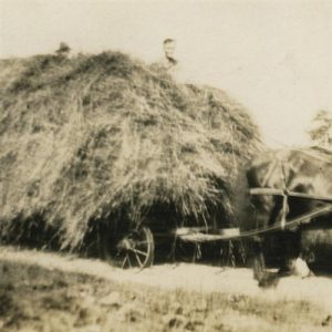 Howard Barnes A Load Of Hay Musik Noten - Piano, Vocal & Guitar Chords - 40415-thumbnail