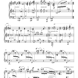 Igor Stravinsky Piano Rag Music Musik Noten - Piano Solo - 118542-0