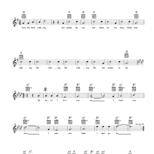 INXS The Loved One Musik Noten - Lead Sheet / Fake Book - 39135-0