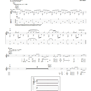 Iron & Wine Lovesong Of The Buzzard Musik Noten - Easy Guitar - 86145-0