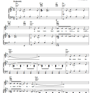 Irving Berlin Heat Wave Musik Noten - Piano, Vocal & Guitar Chords - 21411-0