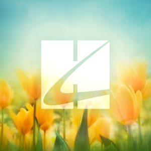 Jack Rollins Peter Cottontail Musik Noten - Guitar Chords/Lyrics - 80673-thumbnail