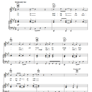 James Blunt Dangerous Musik Noten - Piano, Vocal & Guitar Chords - 85329-0